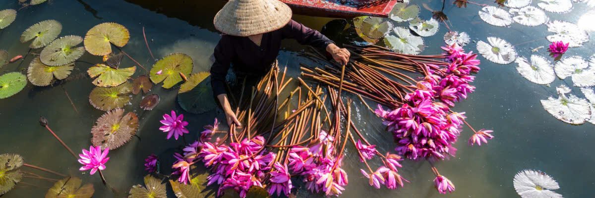 VinhXuong.vn